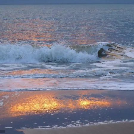 Apartmán Aleda Mamaia Nord *