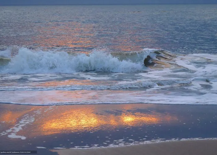 Apartmán Aleda Mamaia Nord *